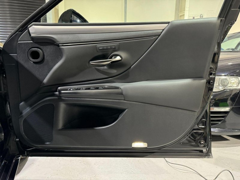LEXUS ES 300H