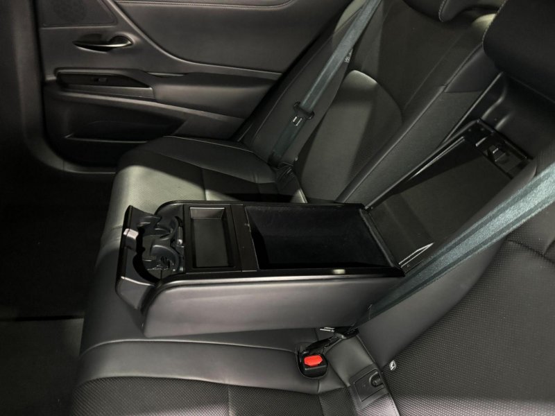 LEXUS ES 300H