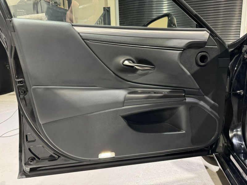 LEXUS ES 300H